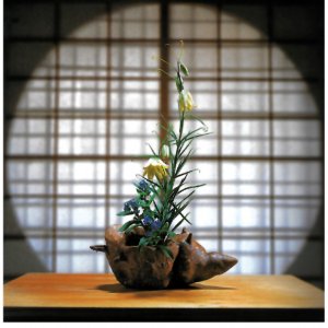  HANAUJŌ. I fiori della compassione