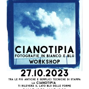 CYANOTYPE BLUE AND WHITE PHOTO
