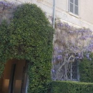 the main entrance with wisteria