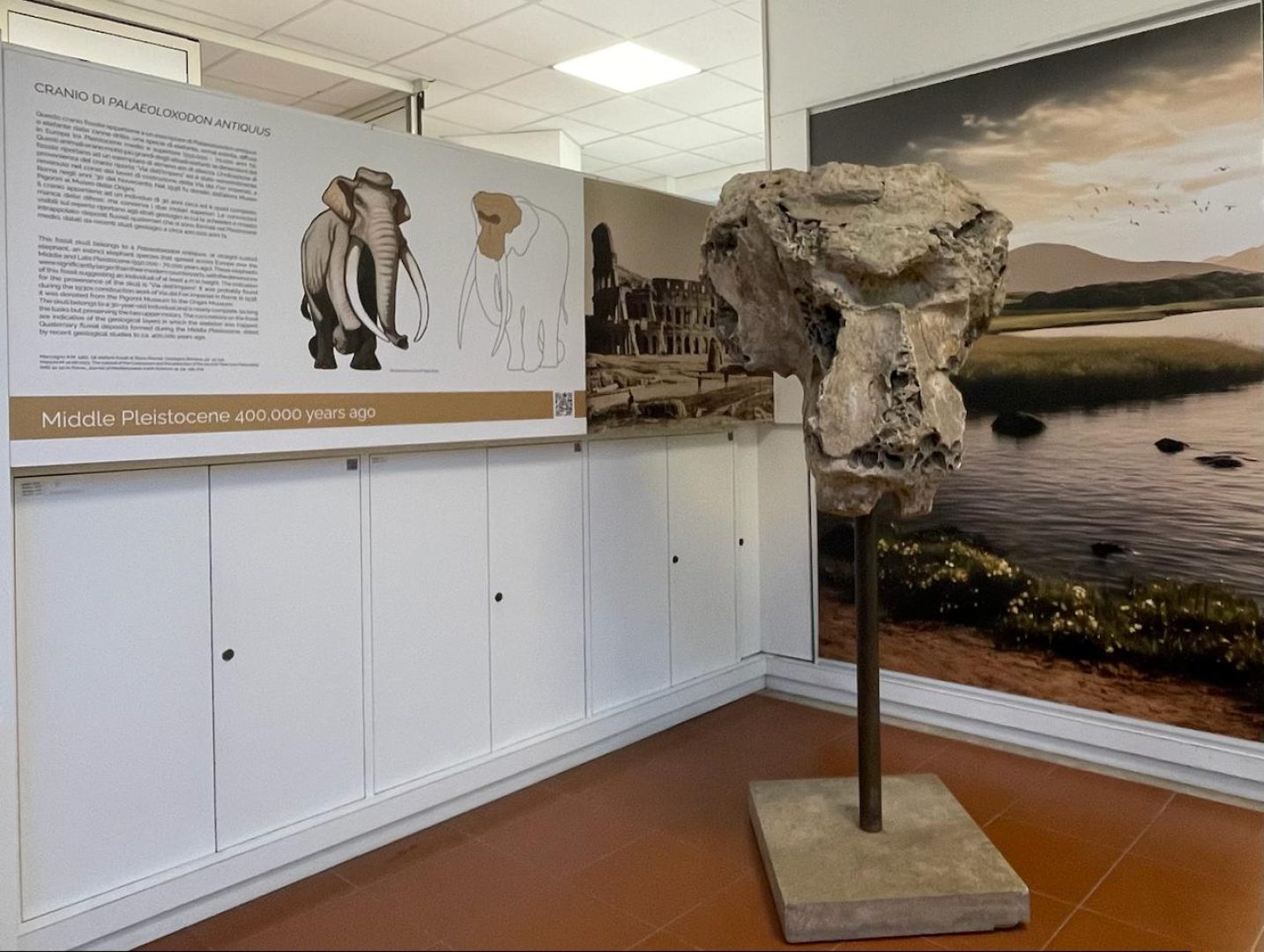 Paleontologia e archeologia in dialogo con l'Arte