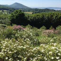 Il Giardino di Pianamola: Nature and Art Projects