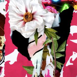 FLOWER POWER