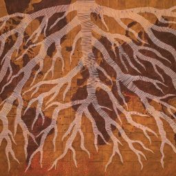 Roots of Peace