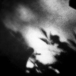 Claudia Chianese