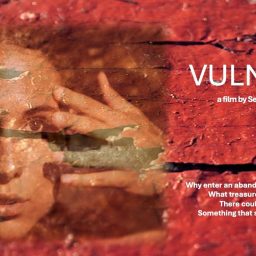 Vulnerare