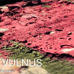 Corpus et Vulnus