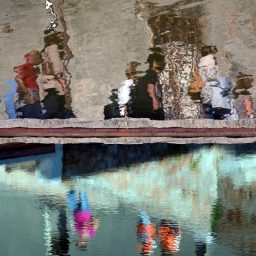 Migrazioni e metamorfosi – Foto di Valter Sambucini