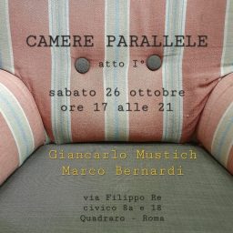 CAMERE Parallele