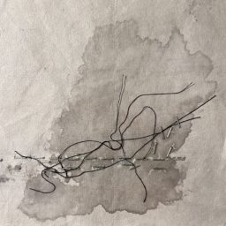 ...per fili e per segni. Azione artistica Relazionale