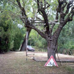 Memorie / Fotografie di Giulia Fosca Borelli