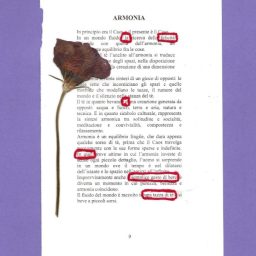 All’essenza. Arte, bellezza, tè.