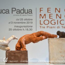 FENO-MENO-LOGICA