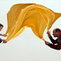 La Collezione Volante