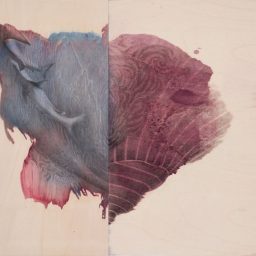 Georgina Spengler. Thàlassa | Ouranòs