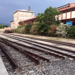La Collezione Viandante