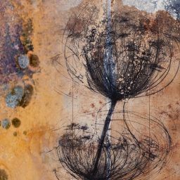 Effetto Venere, between reflection and trace