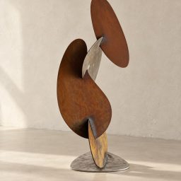 The skin of form