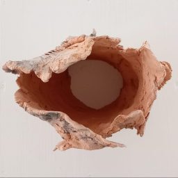 Mutuus, terracotta e cenere, 2026