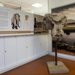 Paleontologia e archeologia in dialogo con l'Arte
