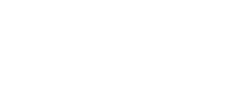 Confederazione Italiana di Unione delle professioni intellettuali