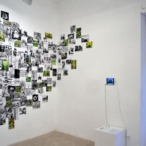 © RAW - Galleria Gallerati