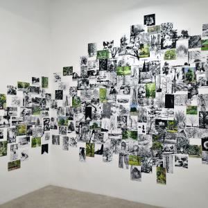 © RAW - Galleria Gallerati