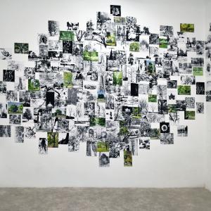 © RAW - Galleria Gallerati