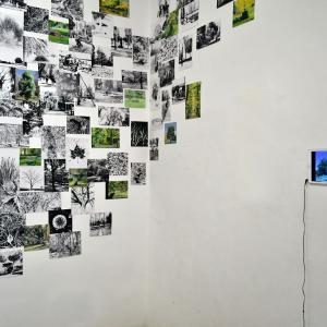 © RAW - Galleria Gallerati