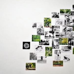 © RAW - Galleria Gallerati