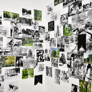 © RAW - Galleria Gallerati