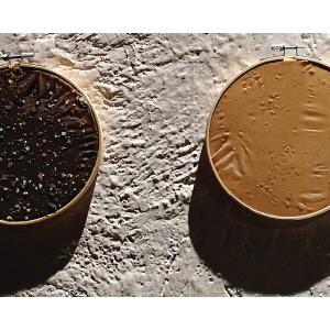 © RAW - Alessandra Scerrato