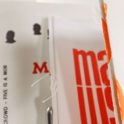 © RAW - ph. Vania Caruso/Galleria 291 Est