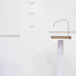 © RAW - Angelamaria Fiori