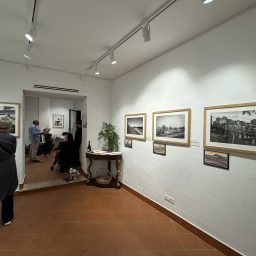 © RAW - ph Massimo Gobbi