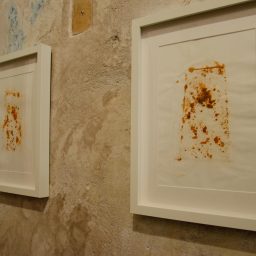© RAW - Ludovica Mainolfi e Antonio Torretti
