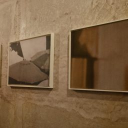 © RAW - Ludovica Mainolfi e Antonio Torretti