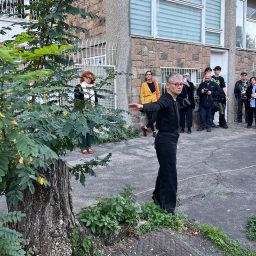 Silvia Stucky. L equilibrio dell albero.  © RAW - Ysabel Dehais