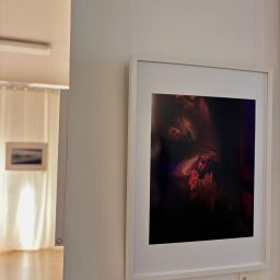 © RAW - Veronica Carullo