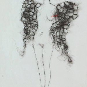 Nike,2013  hair and resin on board cm 60x40