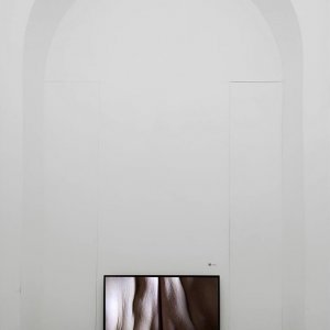 First Portrait, 2013, installazione video, a cura di Franz Paludetto con un testo di O.C.