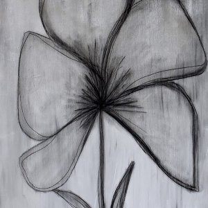 COLORLESS FLOWER #1, cm 60x100, disegno a carboncino e olio su tela,  2023