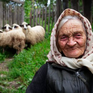 Farmer and sheeps