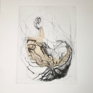 Atrocious Weather Conditions - Etching,  Drypoint and Chine Collee - 2020 