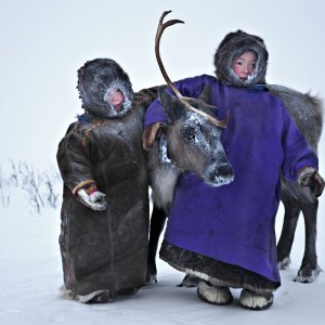 I bambini Nenets giocano fuori dalle tende con la loro renna “domestica” dove la temperatura di giorno è di circa -30°. La loro spontaneità è veramente sorprendente, riescono a divertirsi con poco e a trasformare un qualunque semplice oggetto in un giocattolo.