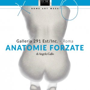 Anatomie Forzate 