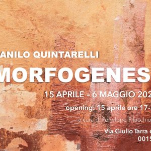 Danilo Quintarelli - Morfogenesi. Talk