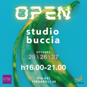 Open Studio Buccia