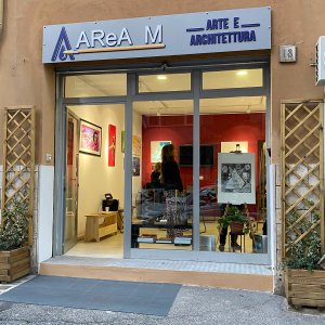 Associazione Multifunzionale AReA M -APS