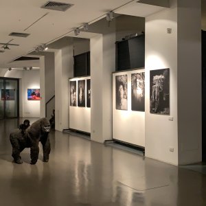 10b photography gallery